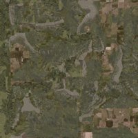 Asset preview